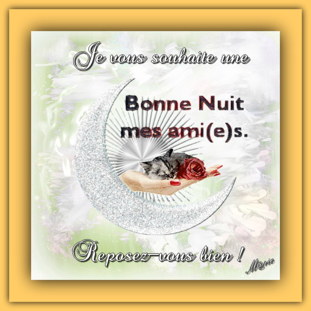 RÃ©sultat de recherche d'images pour "bonne nuits les ami(e)s"