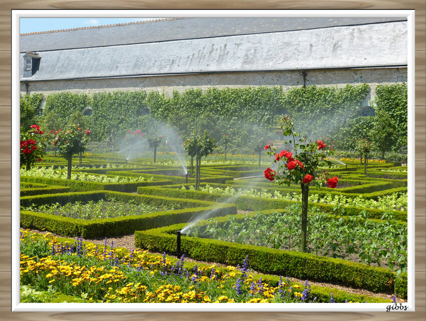 Jardin de Villandry serie 1