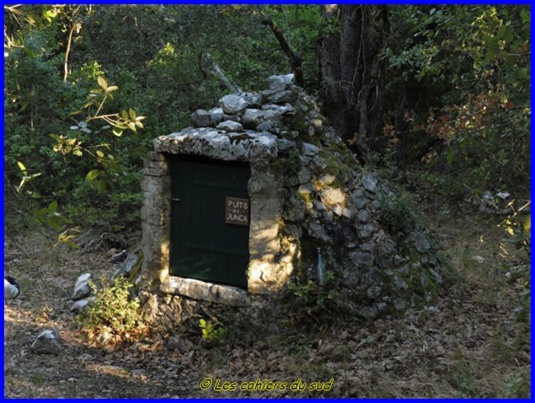 Var, la forêt des Morières