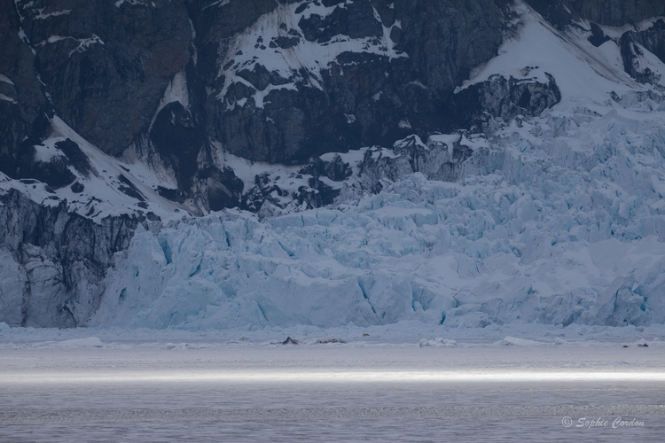 Nordstjernen 20 Mai - Monacobreen