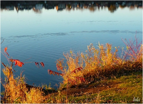 Gouttes d'eau