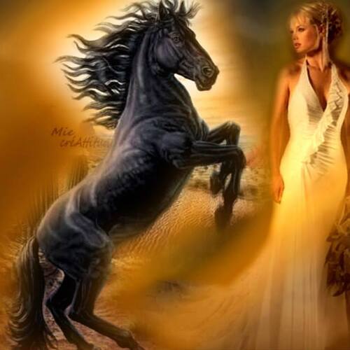               femme avec un cheval