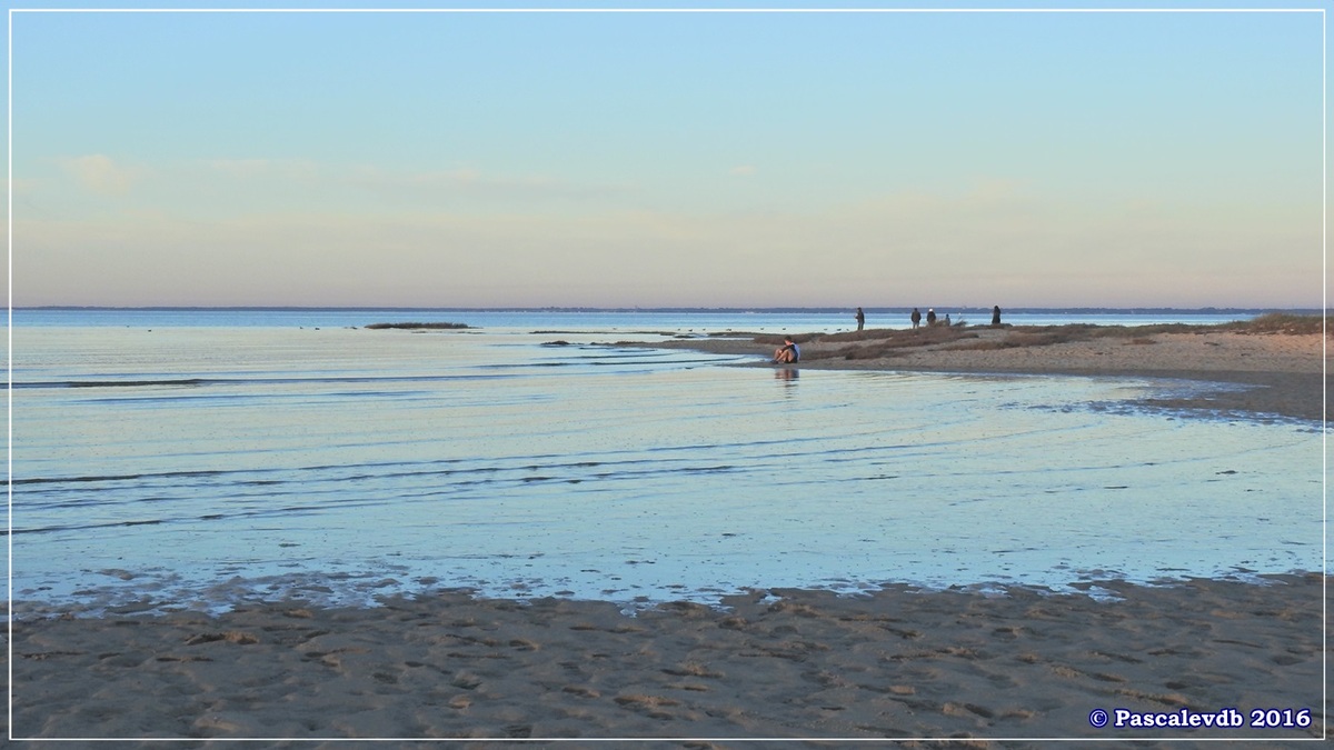 Plage et port de La Hume - Bassin d'Arcachon - Décembre 2016 - 7/10