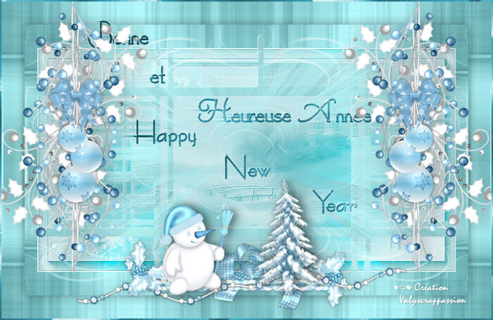 BONNE ANNEE - HAPPY NEW YEAR