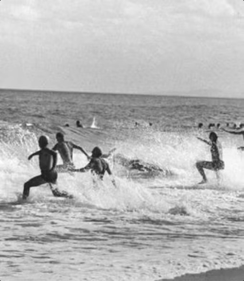 Australie baignade dangereuse Illustration vieille photo NB (Nautisurf).jpg