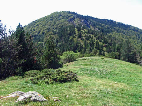 Sur les hauteurs d'une vallée âpre - Le Tour du Vallespir - Etape 3 : Saint-Guillem - Prats-de-Mollo  15 kms.