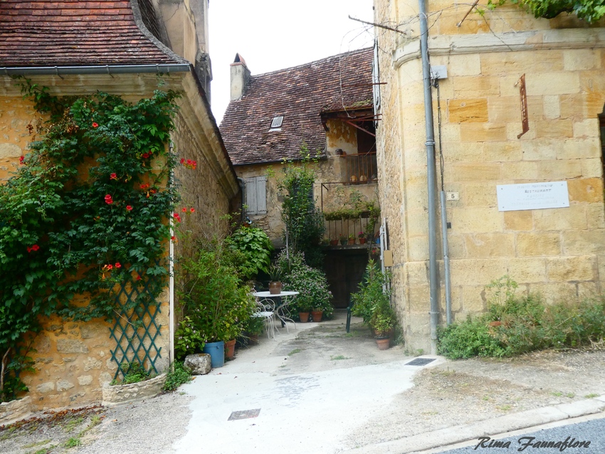 Saint Cyprien,Dordogne,