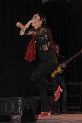 Arte Flamenco 2012 - Mont de Marsan