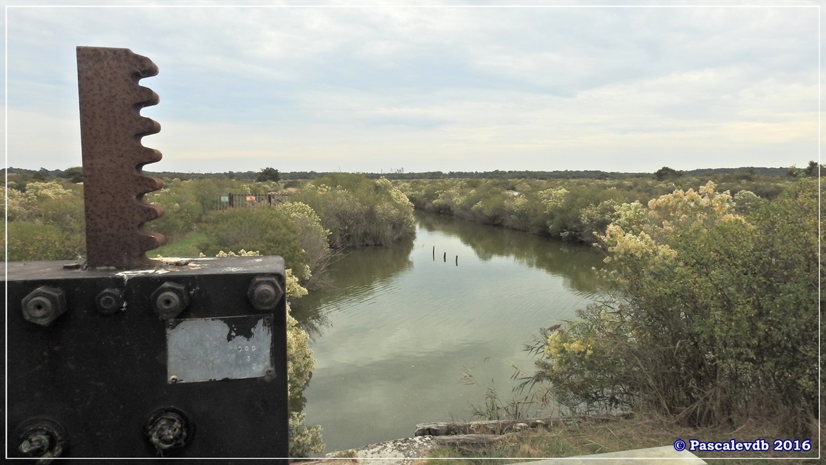 Plaines du Teich et domaine de Fleury - Octobre 2016 - 5/13