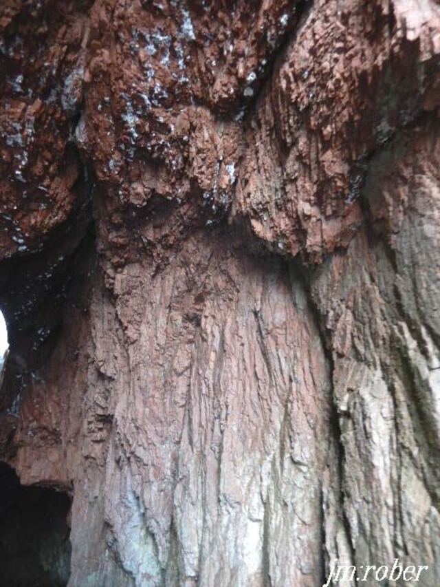 Retour de Corse nommé d'un surnom "  l'île de Beauté "