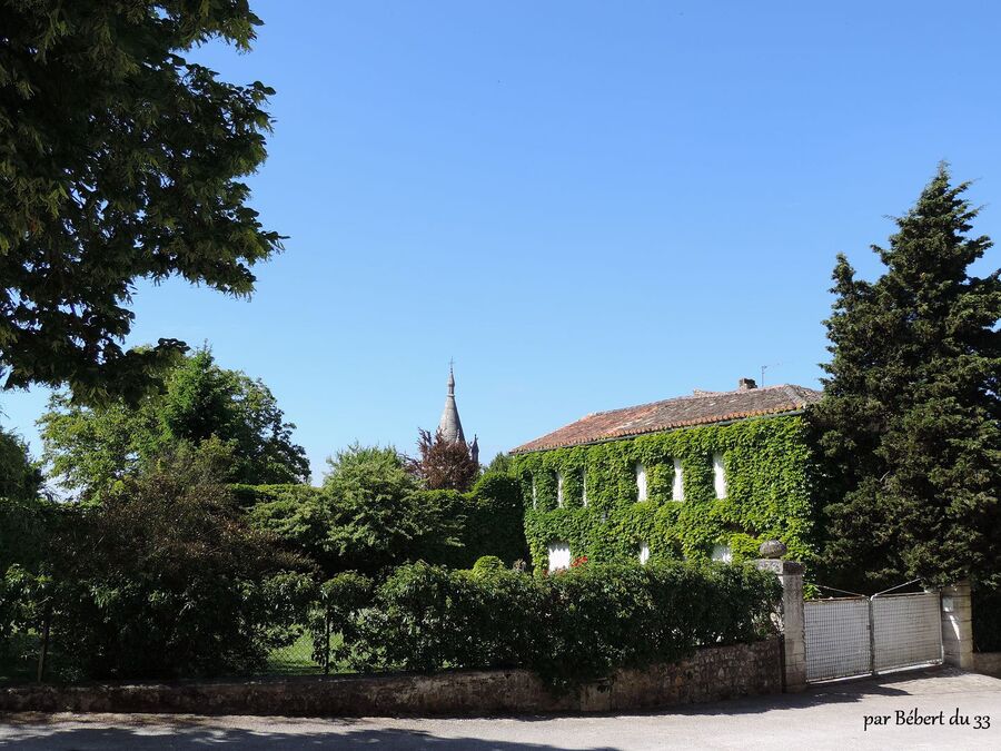 Villebois la Valette , le château (16)