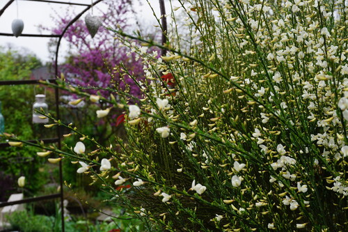 Jolies scènes sous la pluie