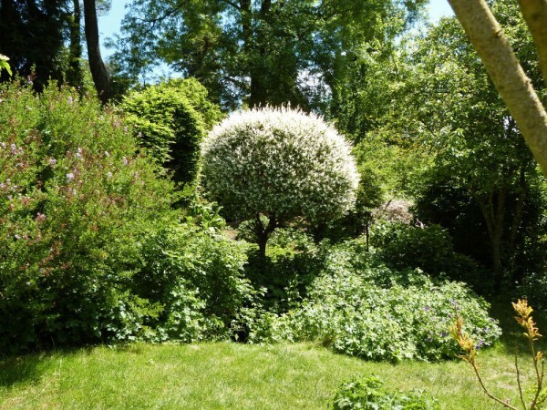 les jardins de viels-maison dans le jardin anglais