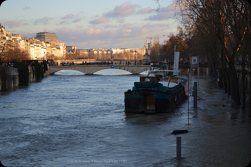 Crue de la Seine 2018 - Photos du 4 février 2018 ... Suite