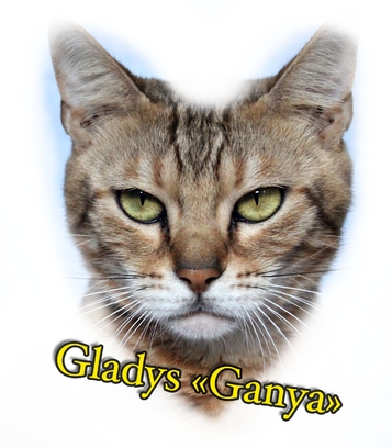 Gladys retraitée