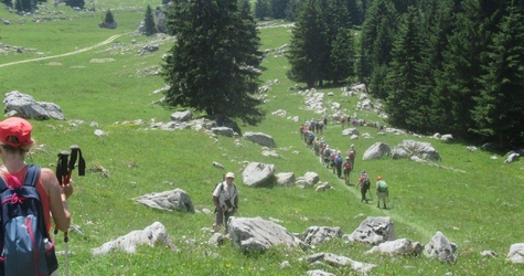 Col d'Ovine, le 04-07-2019, Photos RICHARD