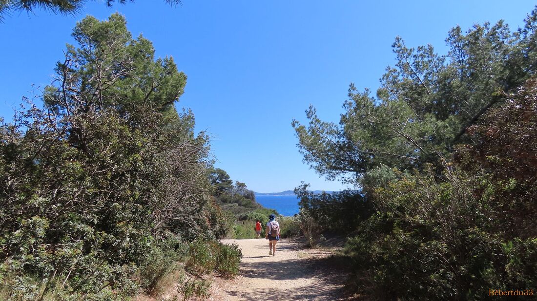 la presqu'île de Giens - 10