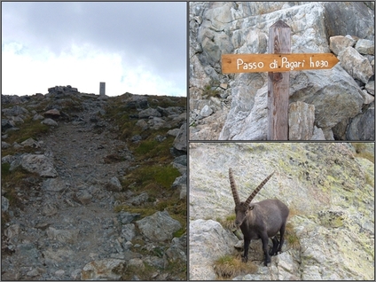 Un petit tour du côté du Mercantour... (2007)