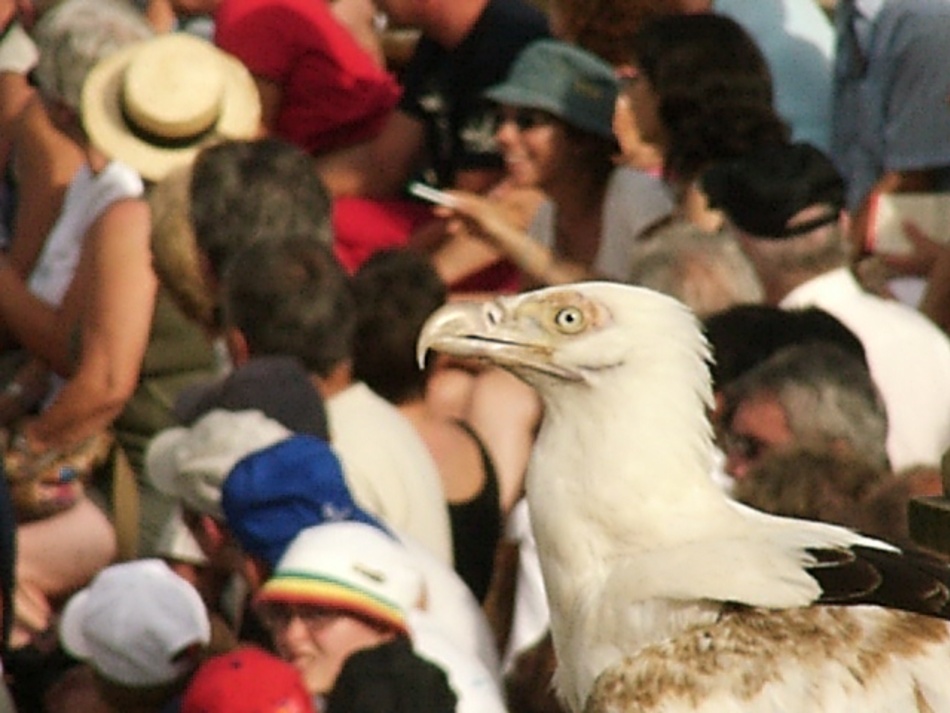 PARC DU PUY DU FOU (II)