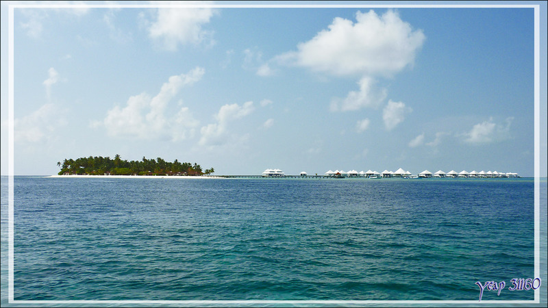Thudufushi - Atoll d'Ari - Maldives