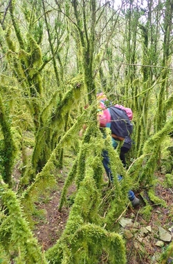 Versols, la grimpe du Mont Grand