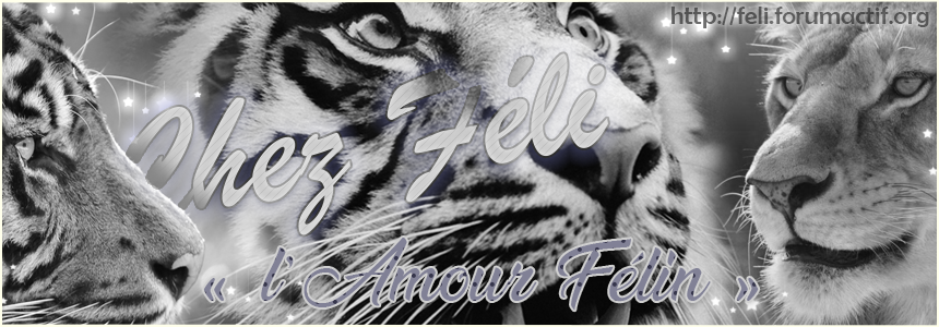 ♥ Féli's ♥