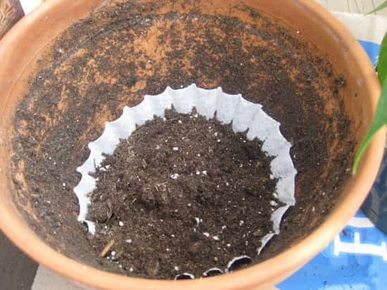 filtre à café fond pot de fleurs