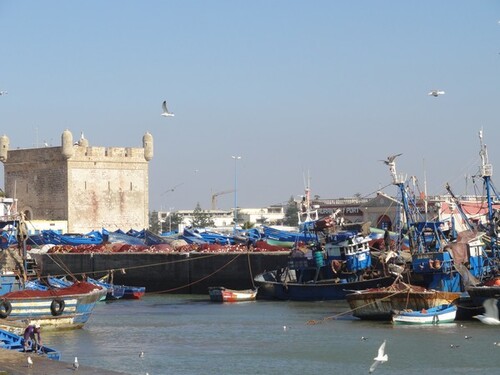 Visite d'ESSAOUIRA