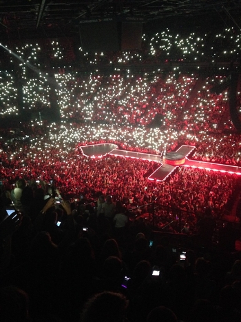 Rebel Heart Tour - 2015 12 10 Paris (8)
