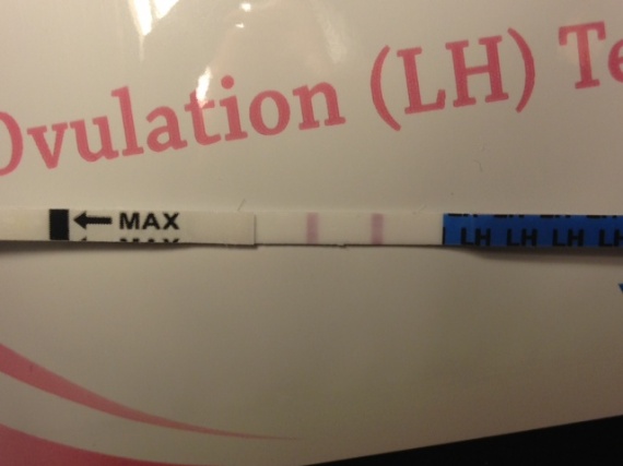 Quand faire un test d'ovulation - Mon test de grossesse