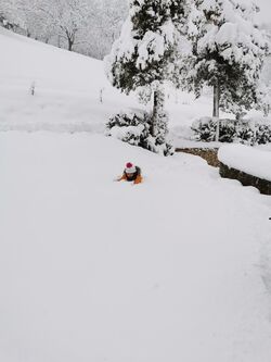 L'hiver au printemps ! 