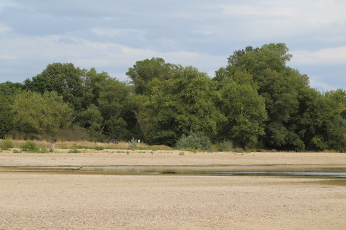 LES PLAGES DE LOIRE