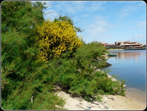 VIEUX-BOUCAU