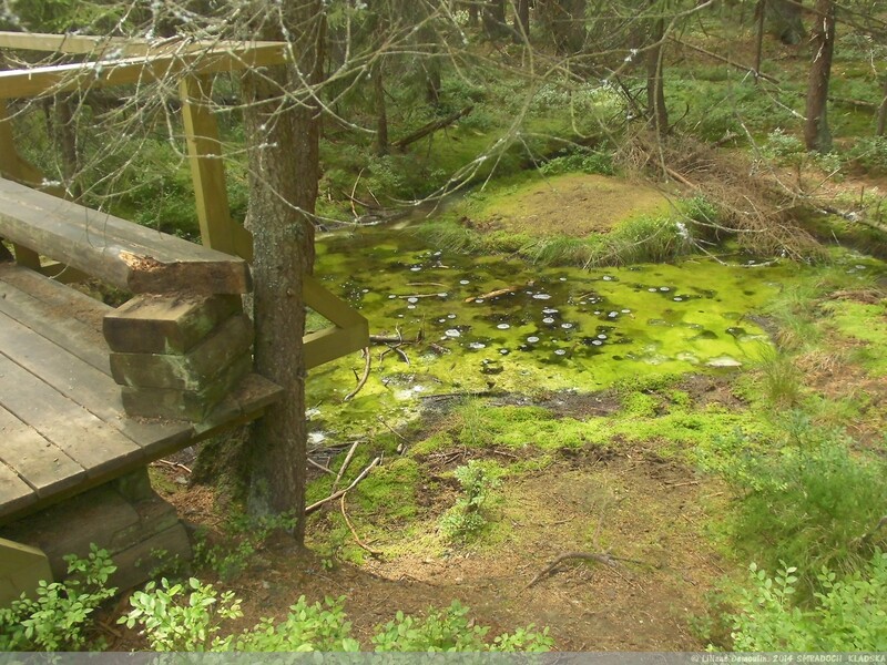 LA RESERVE NATURELLE DE KLADSKA A 8 KM DE MARIENBAD