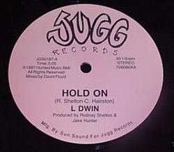 L. Dwin - Hold On