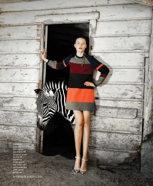 mode fashion stipes zebra fashion  