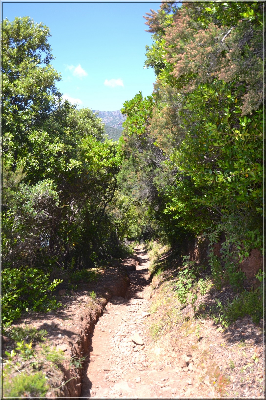 Sur le sentier du facteur