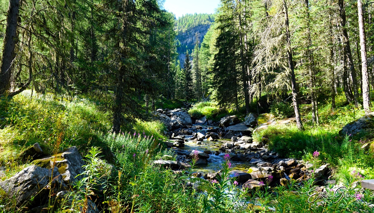 Le Vallon du Laverq