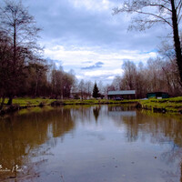 L'étang du village.