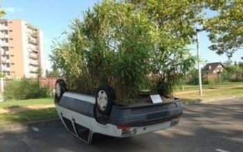 Voiture pot de fleurs Riorges