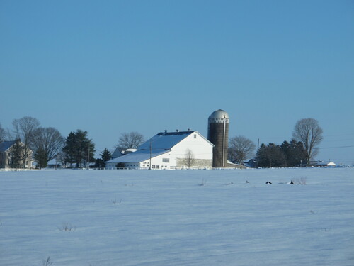 Paysages d'hiver en pays Amish....