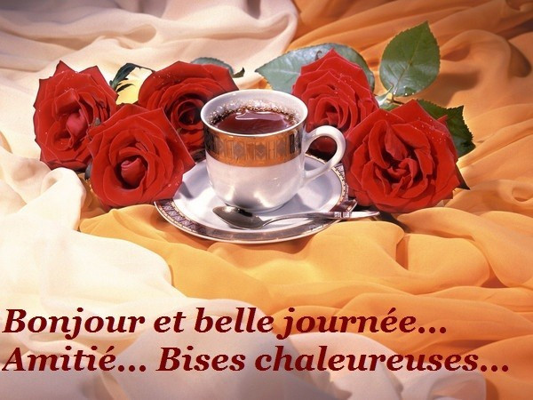 Bonjour et belle journée