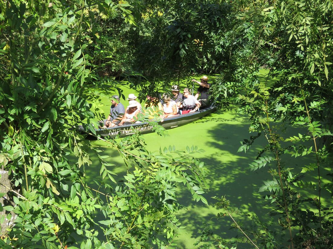 Maillezais dans le marais Poitevin