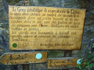 Des merveilles au pays d'Alysse - Le Tour du Coronat - 6eme jour   Llugols (730 m) - Jujols (940 m) 18 kms.