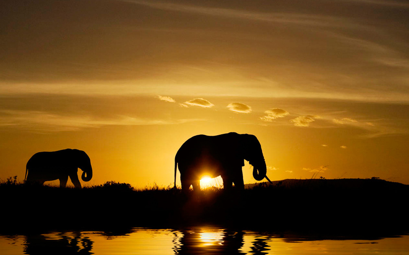 5 images de coucher de soleil