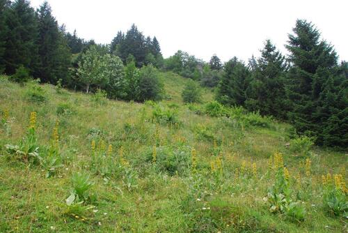 Nos randonnées en Chablais