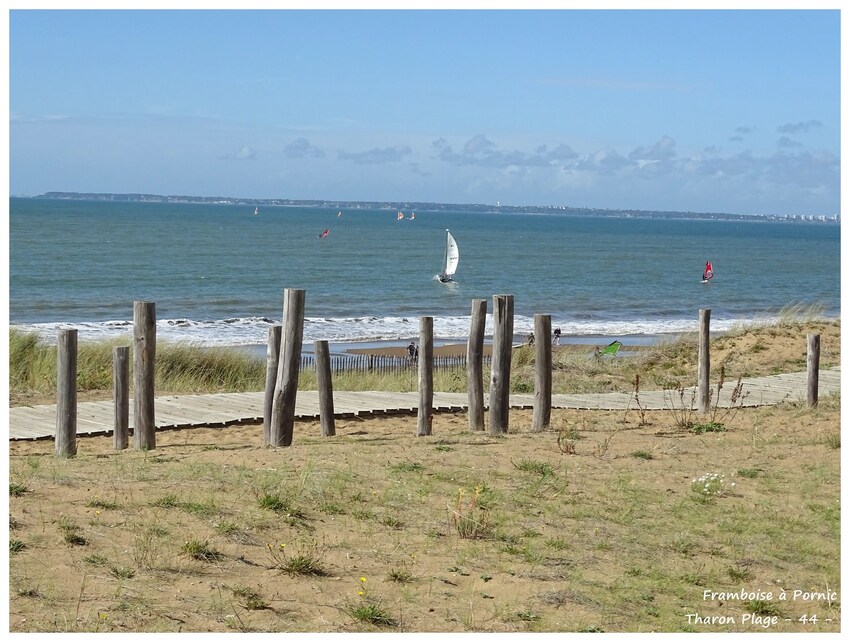 Balade à Tharon plage 