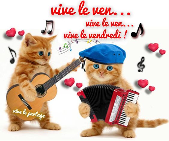 Vive le ven... vive le ven... vive le vendredi ! #vendredi bon vendredi humour chat chaton musique drole