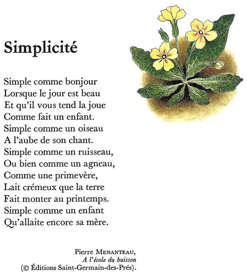 SIMPLICITÉ (Pierre Menanteau)