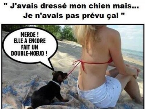 humour